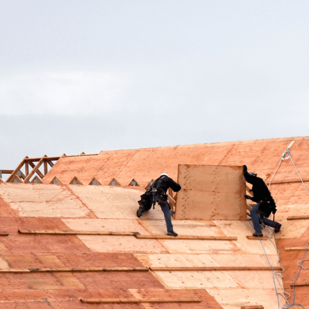 Roof Inspections in Derby